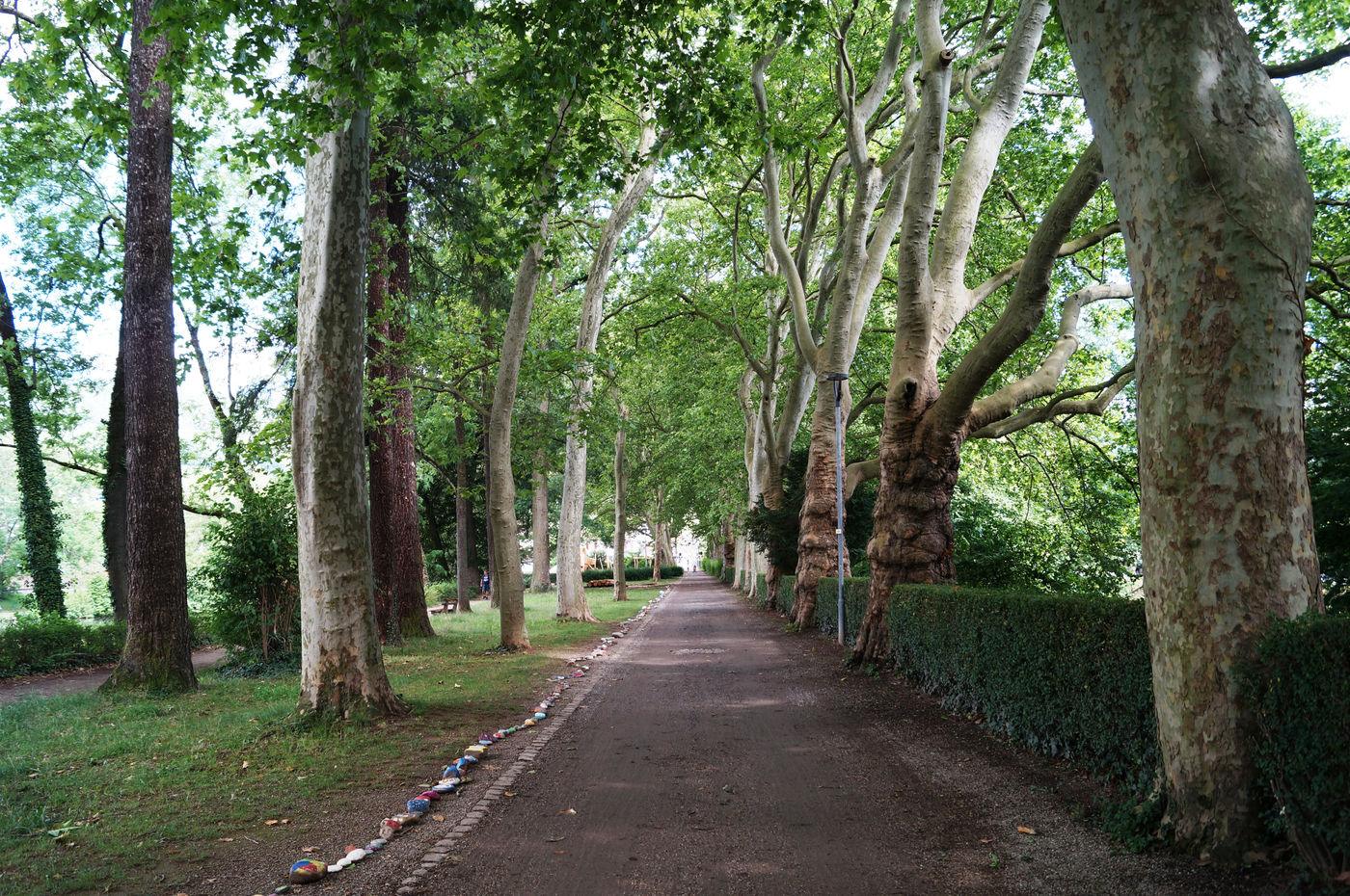 Allee am Stadtsee