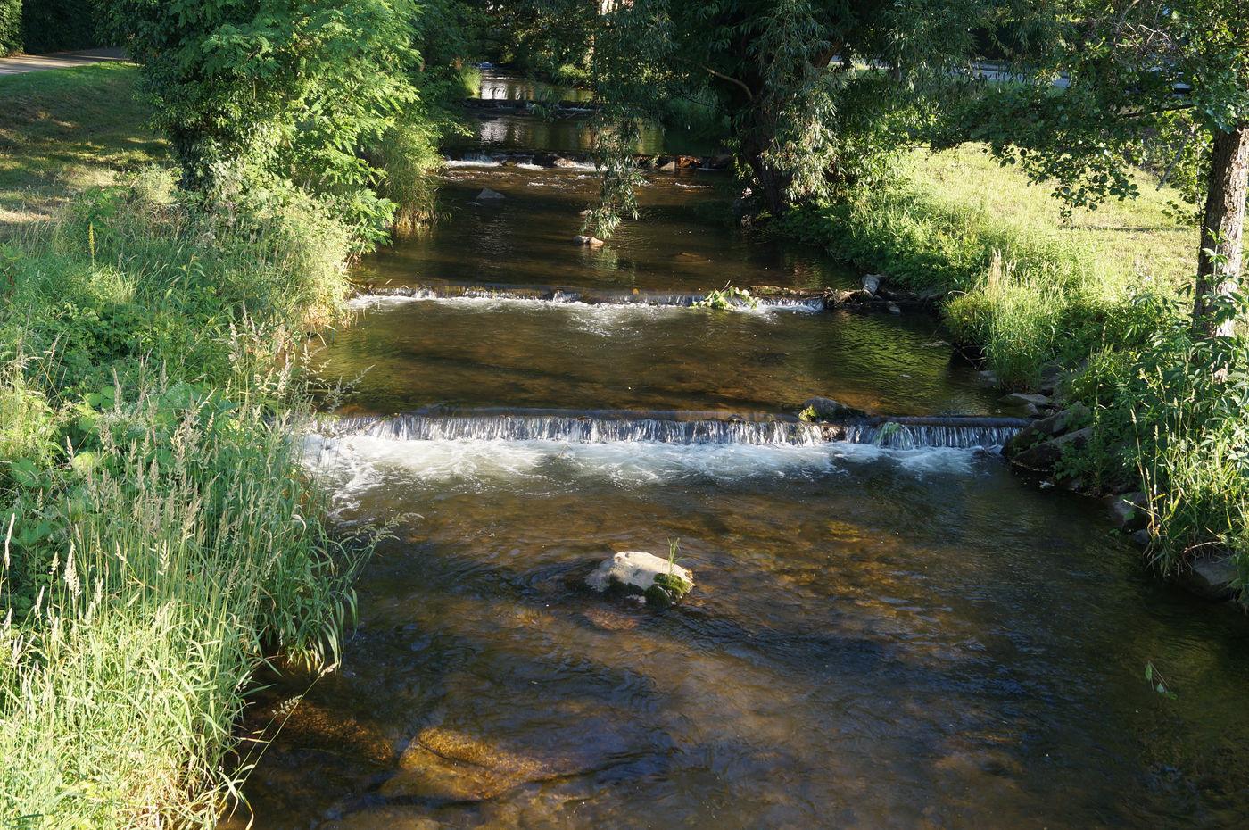 Fluss Neumagen in Staufen