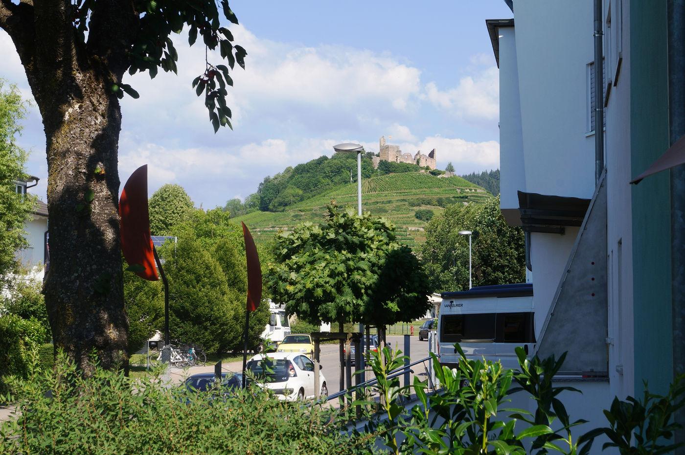 Burgblick vom Garten